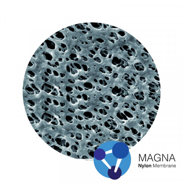 Nylon (NY) Membrane Magna™