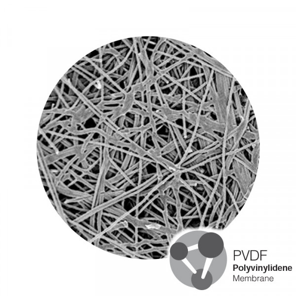 Polytetrafluoroethylene (PTFE) Hydrophilic Membrane