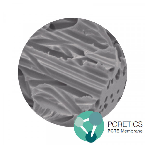 Polycarbonate Track Etched (PCTE) Membrane Poretics™