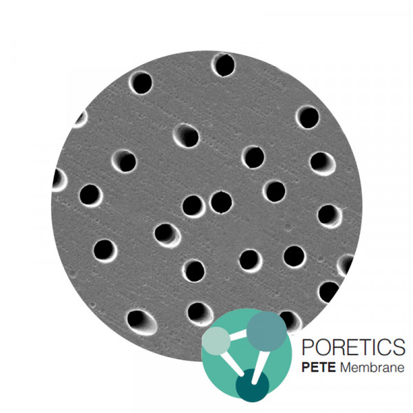 Polyester Track Etched (PETE) Membrane Poretics™